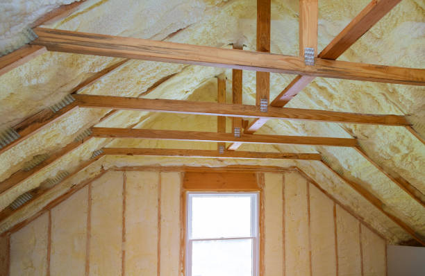Best Residential Insulation in Roanoke Rapids, NC