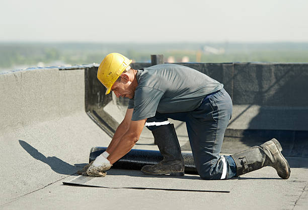 Best Specialized Insulation Services in Roanoke Rapids, NC